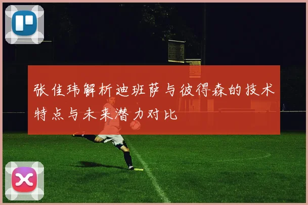 张佳玮解析迪班萨与彼得森的技术特点与未来潜力对比