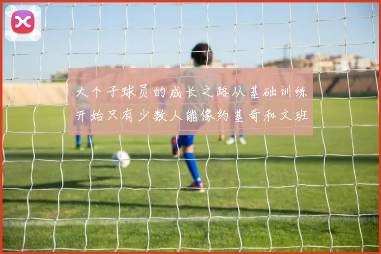 大个子球员的成长之路从基础训练开始只有少数人能像约基奇和文班那样成功